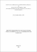 DISSERTAÇÃO_RENATA MARIA CAPELA LOPES.pdf.jpg