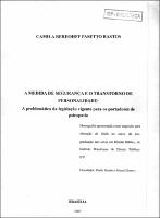 Monografia_CAMILA BEREOHFF PASETTO BASTOS_Especialização_2007.pdf.jpg