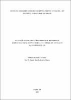 DISSERTACAO_WELLISON MUCHIUTTI HERNANDES_MESTRADO DIR_2022.pdf.jpg