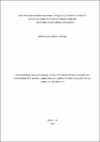 DISSERTACAO_ RODRIGO EL KOURY DAOUD  _ MESTRADO_2022.pdf.jpg