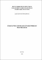 DISSERTAÇÃO_ LUCCA MARTINS PORTOCARRERO _MESTRADO EM DIREITO.pdf.jpg