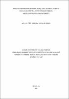 DISSERTACAO_WALDIR JOÃO FERREIRA DA SILVA JÚNIOR_MESTRADO PROFISSIONAL_2021.pdf.jpg